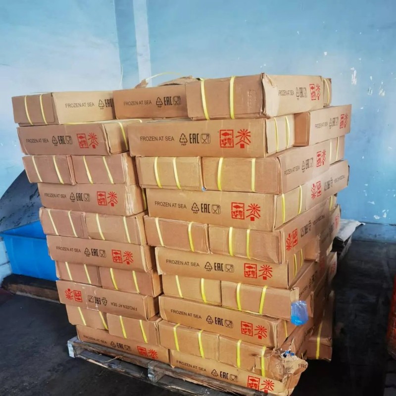 Wholesale Price Frozen Sardine for Bait with Best Quality