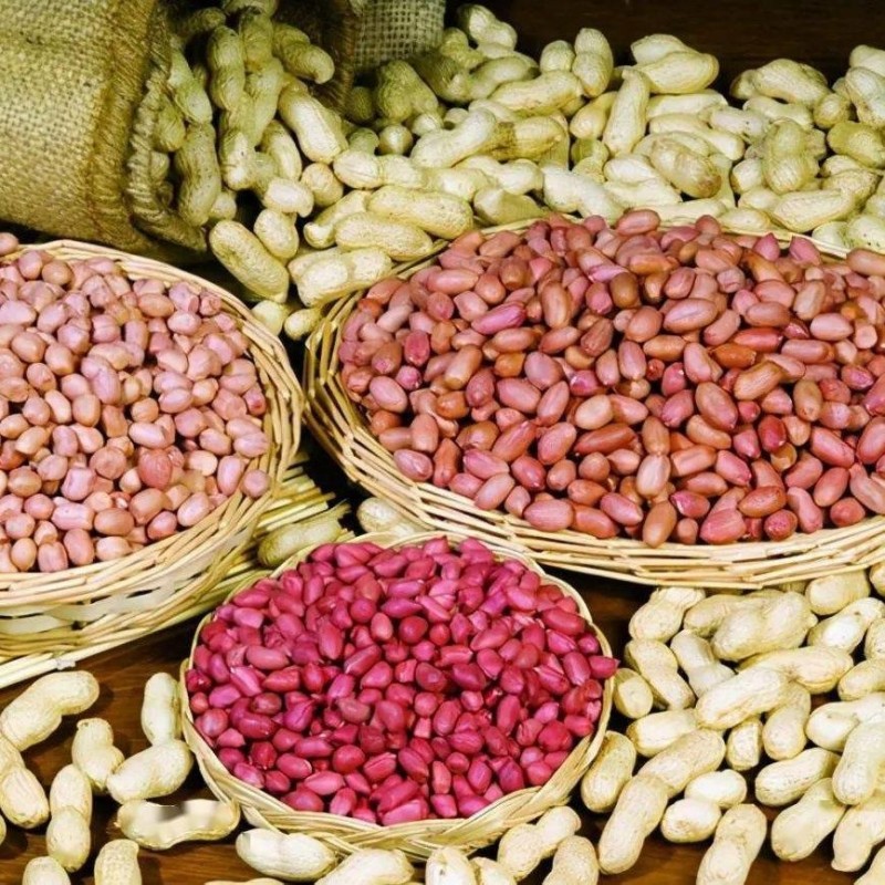 Factory Price Wholesale Peeled Blanched Raw Peanut Kernel HACCP with Without Shell Organic Natural Peanut From China