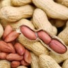 Factory Price Wholesale Peeled Blanched Raw Peanut Kernel HACCP with Without Shell Organic Natural Peanut From China