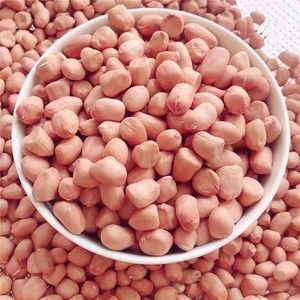 Factory Price Wholesale Peeled Blanched Raw Peanut Kernel HACCP with Without Shell Organic Natural Peanut From China
