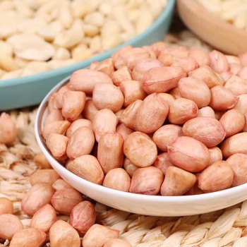 Factory Price Wholesale Peeled Blanched Raw Peanut Kernel HACCP with Without Shell Organic Natural Peanut From China