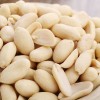 Factory Price Wholesale Peeled Blanched Raw Peanut Kernel HACCP with Without Shell Organic Natural Peanut From China