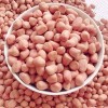 Factory Price Wholesale Peeled Blanched Raw Peanut Kernel HACCP with Without Shell Organic Natural Peanut From China