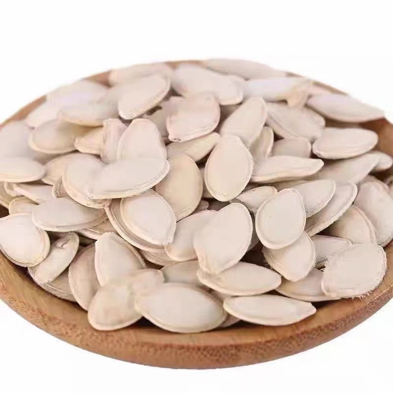 Dried Shine Skin Pumpkin Seeds Big Size Inshell