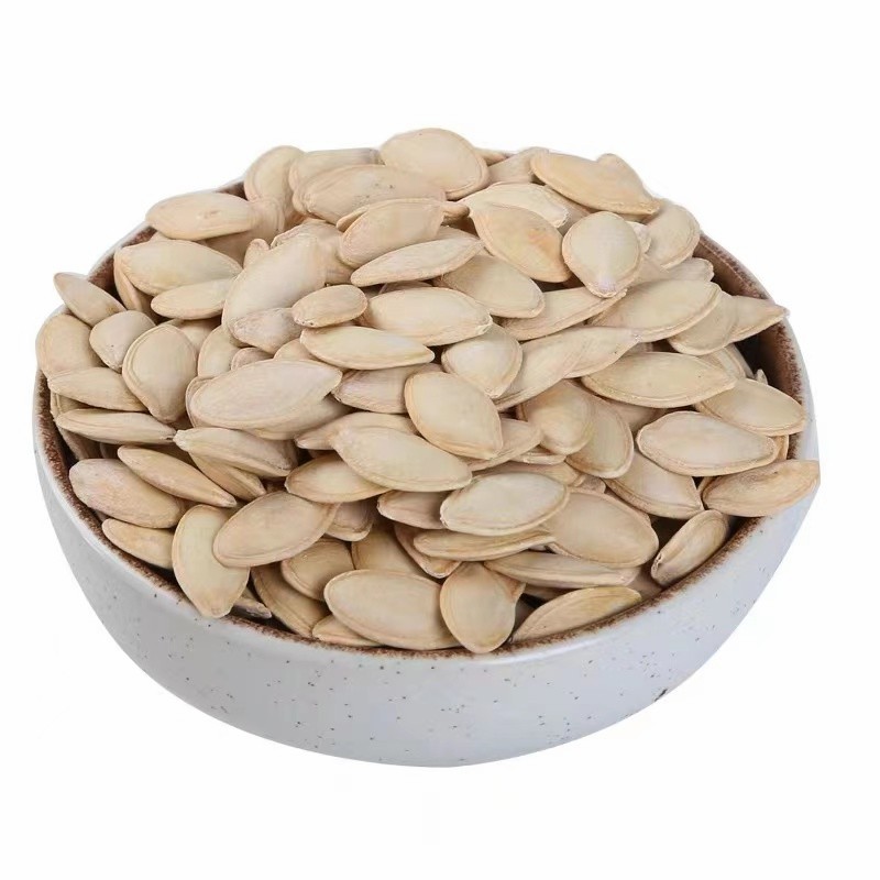 Dried Shine Skin Pumpkin Seeds Big Size Inshell