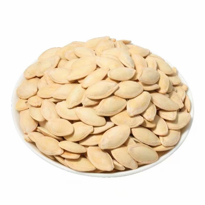Dried Shine Skin Pumpkin Seeds Big Size Inshell