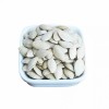Dried Shine Skin Pumpkin Seeds Big Size Inshell