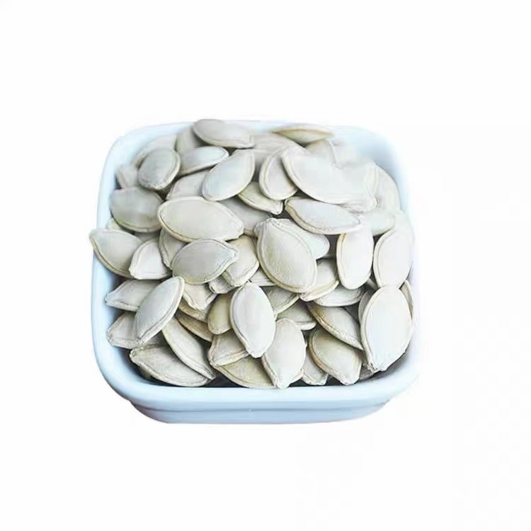 Dried Shine Skin Pumpkin Seeds Big Size Inshell
