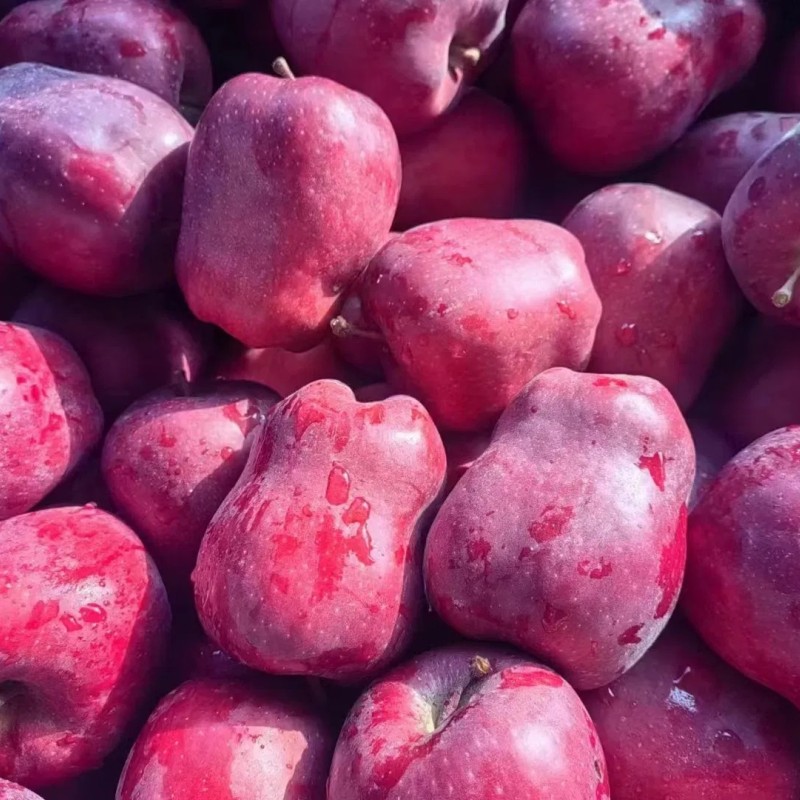 Nutritious and Vitamin