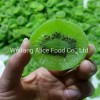 Dehydrated Fruit Nice Taste Kiwi Slice Popular Dried Kiwi Fruit