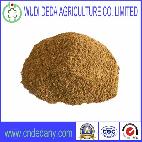 Meat and Bone Meal Lowest Price