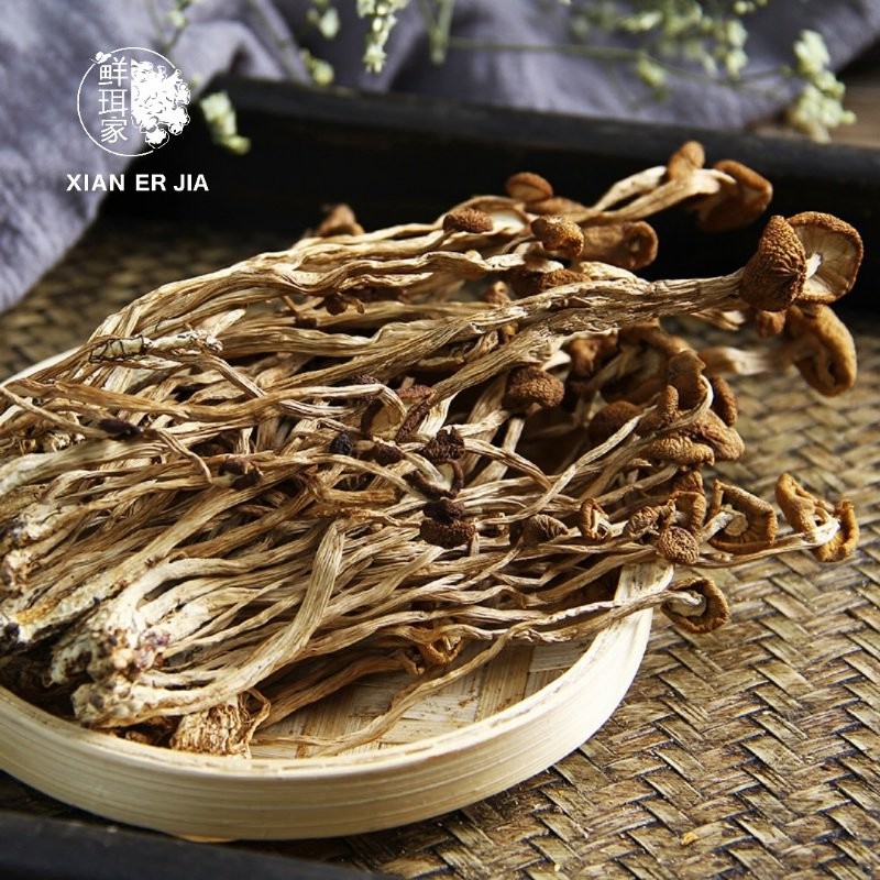 Pure Tea Tree Mushroom Essence for Aromatherapy and Relaxation