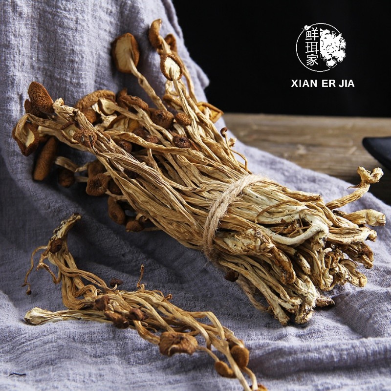 Pure Tea Tree Mushroom Essence for Aromatherapy and Relaxation