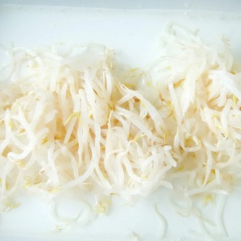 Canned Pickled Green Mung Bean Sprout From Fresh Raw Material in 3000gr 3kg 3100ml A10 Tin