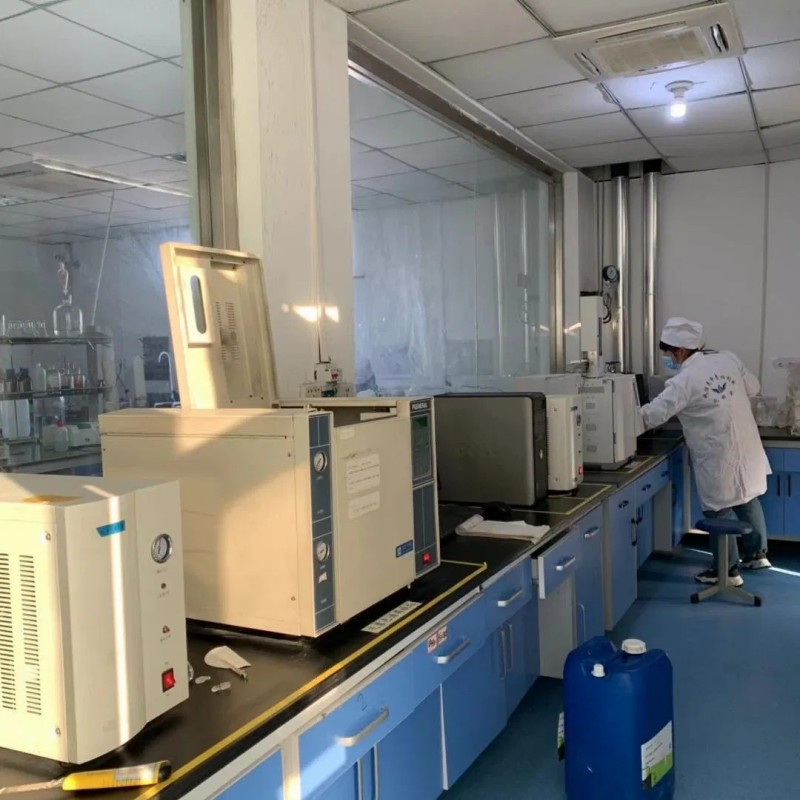 High Quality High Protein Factory Price Vital Wheat Gluten