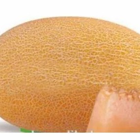 Hami Melon Seed Yellow Melon Seeds for Sowing