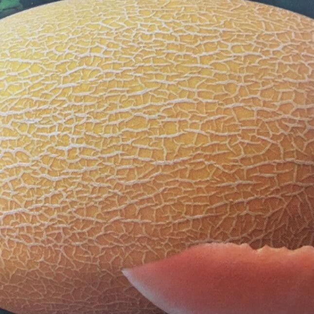 Hami Melon Seed Yellow Melon Seeds for Sowing