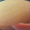Hami Melon Seed Yellow Melon Seeds for Sowing