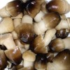 Straw Mushroom Whole in Brine Glass Jar Packing