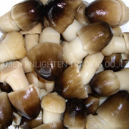 Straw Mushroom Whole in Brine Glass Jar Packing