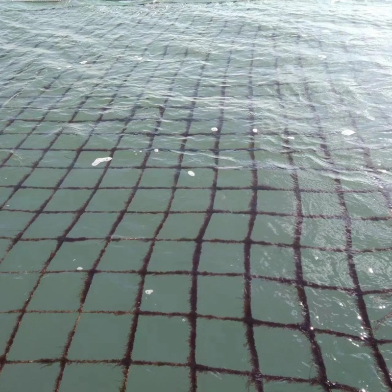 Yaki Sushi Roasted Seaweed Sushi Nori 100sheets Dark Green HACCP Factory Manufacturer