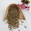 Chinese Hot Sale Arabica Raw Green Coffee Beans