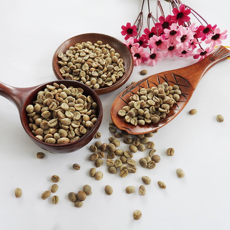 Chinese Hot Sale Arabica Raw Green Coffee Beans