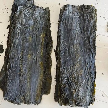 Wholesale Laminaria Japomica Sheet Algae Kombu