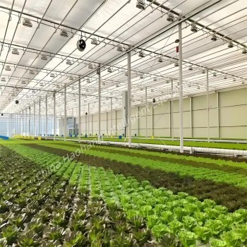 Rubber Seal Greenhouse Materials for Sealing with Weatherproof Strip