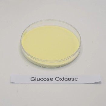 High-Quality Lipase Enzyme for Effective Digestion and Nutrient Utilization