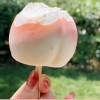 Peach Shape Vegan Ice Cream Peach Flavor Ice Cream OEM with Halal