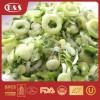 IQF Frozen Spring Grenn Onion China Vegtables
