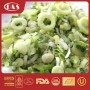 IQF Frozen Spring Grenn Onion China Vegtables