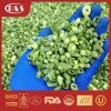 IQF Frozen Spring Grenn Onion China Vegtables