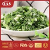 IQF Frozen Spring Grenn Onion China Vegtables