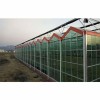 Cost-Effective High Efficient Corrosion-Resistant Intelligent Greenhouse with Enhanced Structural Integrity