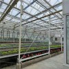 Cost-Effective High Efficient Corrosion-Resistant Intelligent Greenhouse with Enhanced Structural Integrity