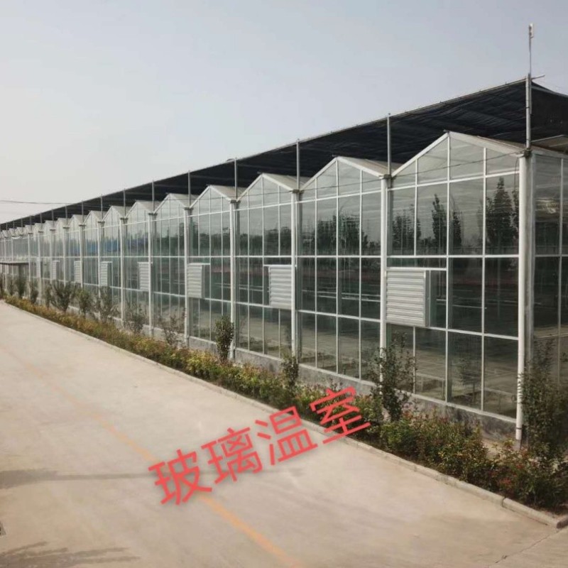 Cost-Effective High Efficient Corrosion-Resistant Intelligent Greenhouse with Enhanced Structural Integrity