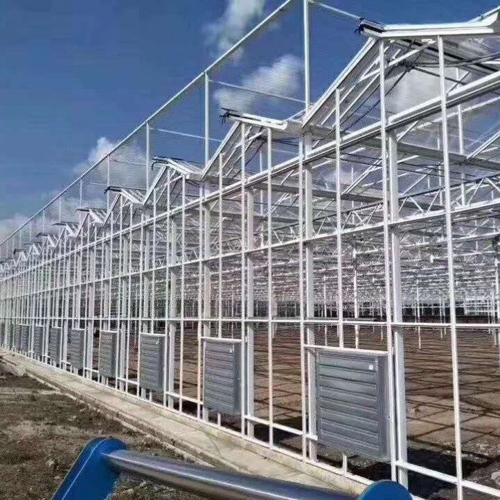 Cost-Effective High Efficient Corrosion-Resistant Intelligent Greenhouse with Enhanced Structural Integrity