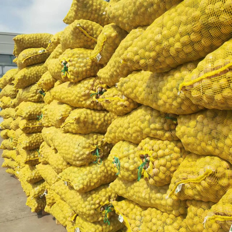 No-Residue Skin-Nourishing Premium Walnuts Xinfeng Walnut Kernels