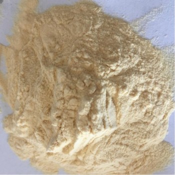 Chicken Protein Hdyrolysate for Pet Food and Animal Health (80% protein)