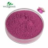 Premium 100% Pure Ube Powder for Baking, Desserts, and Natural Food Coloring