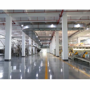 China Africa 41022 OEM Green Tea From Orignal Anhui Area Enough Foam Tea