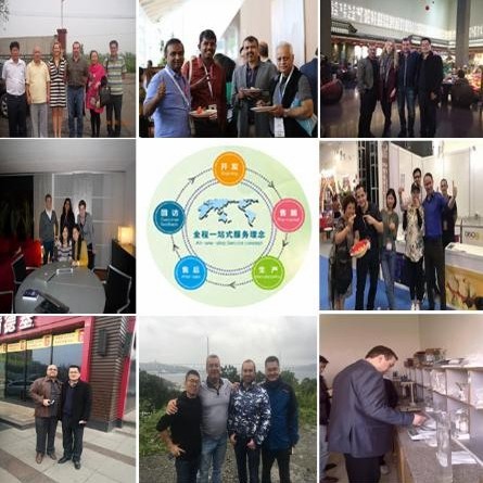 Food Grade Modified Starch Waxy Corn Starch E1442 Modified Starch E1414 Modified Starch E1422