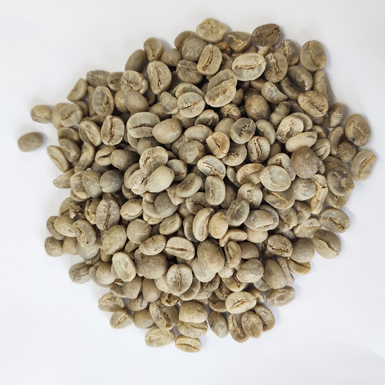 Yunnan Arabica Coffee Beans Raw Coffee Bean