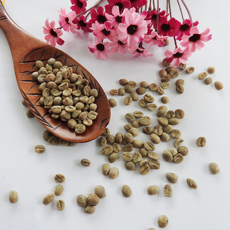 Yunnan Arabica Coffee Beans Raw Coffee Bean