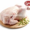 Frozen Halal Whole Chicken Griller with Best Quality Wholesale
