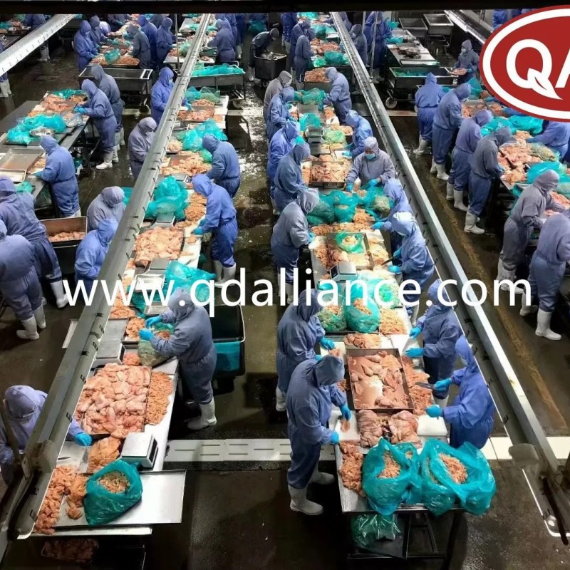 Frozen Halal Whole Chicken Griller with Best Quality Wholesale