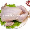 Frozen Halal Whole Chicken Griller with Best Quality Wholesale