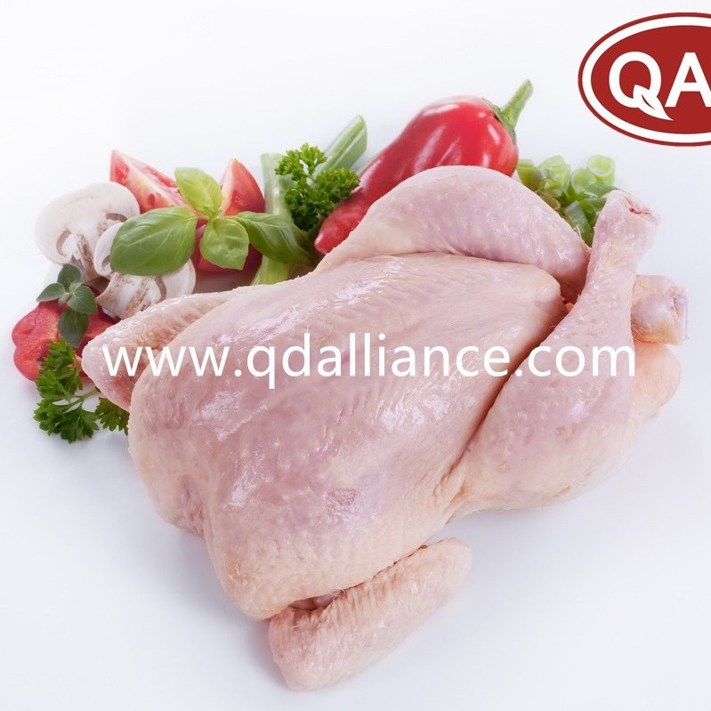 Frozen Halal Whole Chicken Griller with Best Quality Wholesale